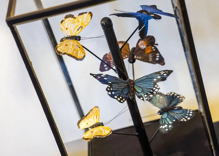 リラ ロバーツ 5*