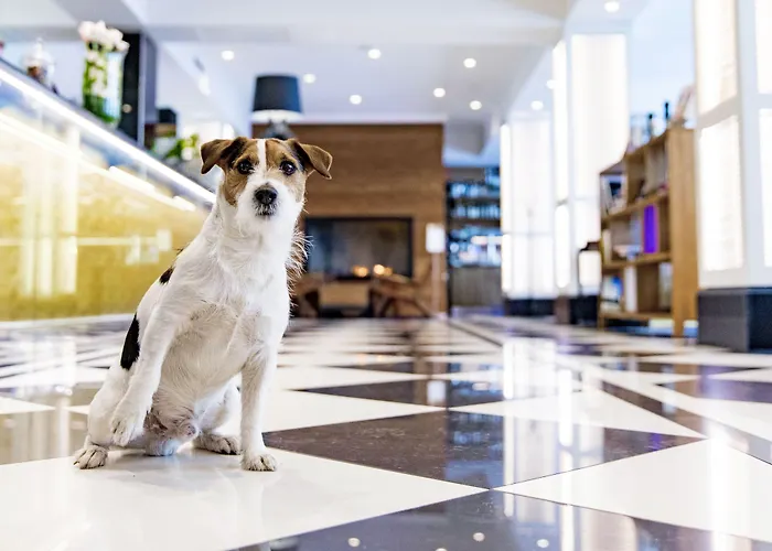 Lilla Roberts Helsinki